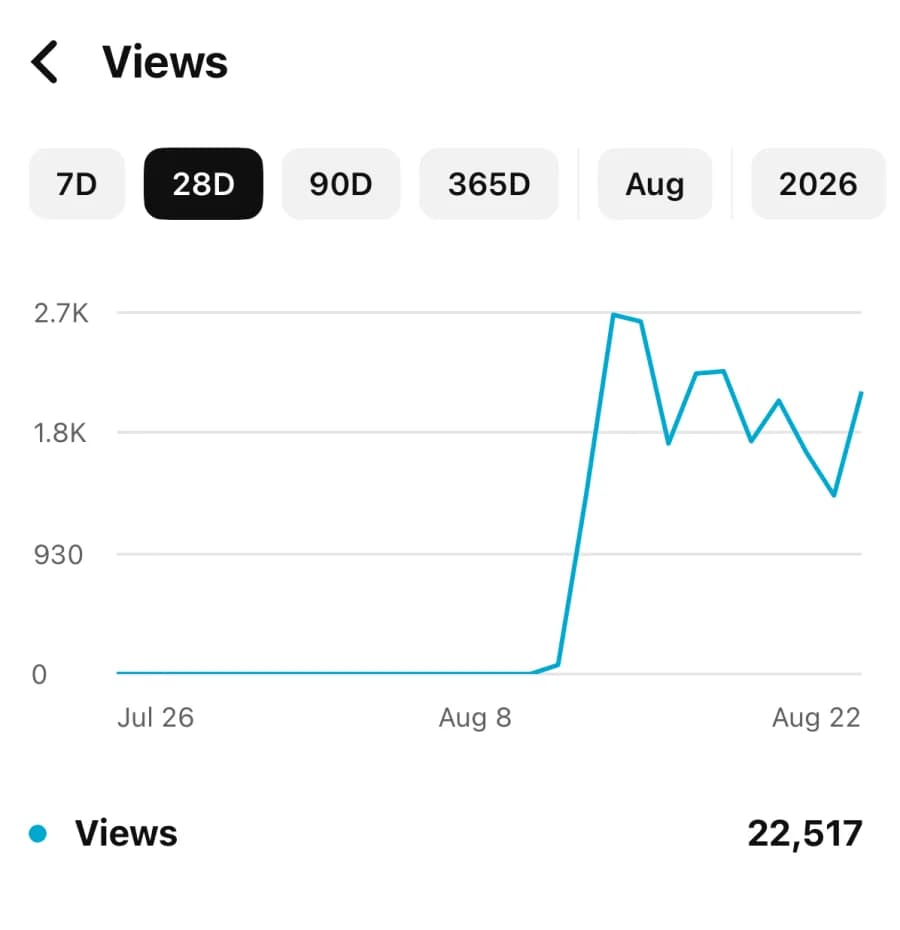 Analytics report showing 22,517 views